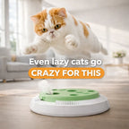 GhostRecall™ Smart Cat Toy