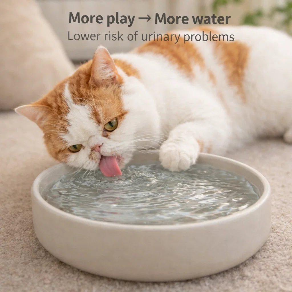 GhostRecall™ Smart Cat Toy