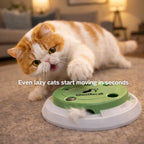 GhostRecall™ Smart Cat Toy